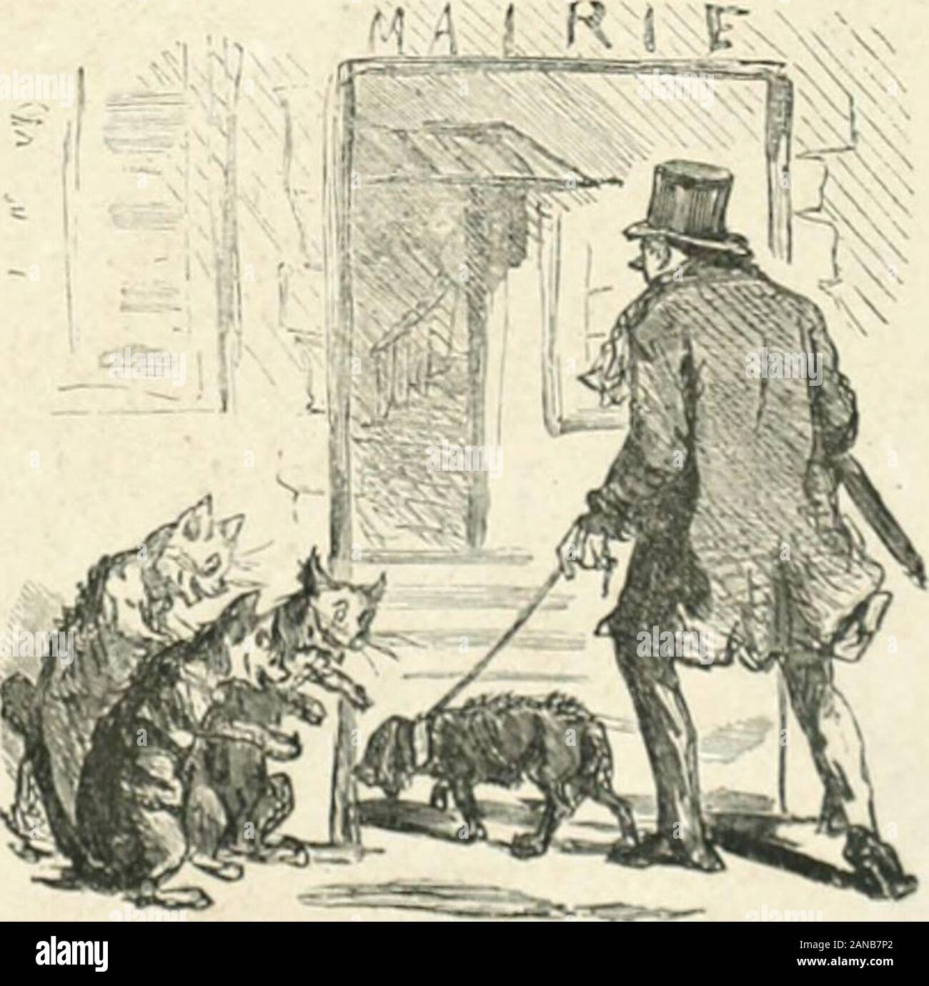 Cham . - Miinrieur, nous ne priMons rien U-detsus.Tiin»; mais i;a vuuI dix  francs! Les chats se tenant aux porlcmlcs mairie» pour jUir dudépit des  chiens soumis 1 la taxe Stock Photo 