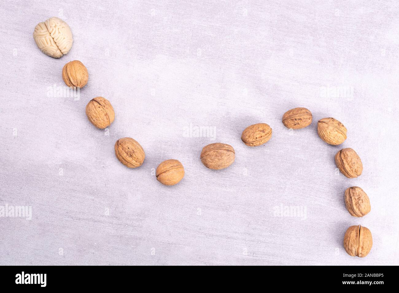 Walnuts love healthy brain foods. The shape of the human brain is
