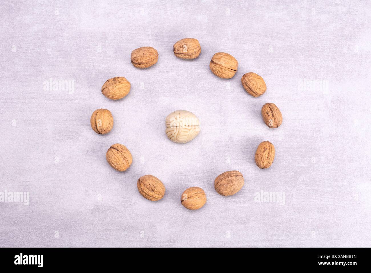 Walnuts love healthy brain foods. The shape of the human brain is