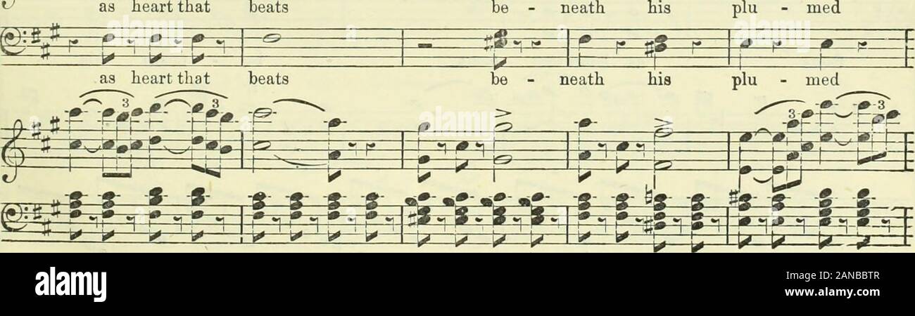 The Bohemian girl : opera in three acts . 2^EJ -fW-F ^^ 22: pgrjt g g g- g ^^ **j*t  2L^ * =*=p= I* V U» k: -=U ** r g -g- -g- S -=hf^ ^ v v 5^ *=£= -^H*- -P-g,^^- ^ r p»- as heart that beats be neath his plu rued 5 i r J 1 m 1 J 1 zz &lt;-s)-r- ^^ ^^ ^= as heart that beats. The Royal EditioD.— Tbe Bohemian Girl.—(13 • • ?W. P=pc -]/ ^ &gt; #w ^^ P f* ^ 1 Is V^ wing, dk s J r sg J2/2- its pin - ion flies, yes, free in the skies, yes, 1 f 1 f 1 -» L* -y r * -g- b* b* fa*- i ^1 f *•? ^* r i* -p- its pin - ion flies, yes, free in the skies, yes, V^y i w i 1*^-* i: ^Lk^k^ its pin - ion flies, yes, Stock Photo