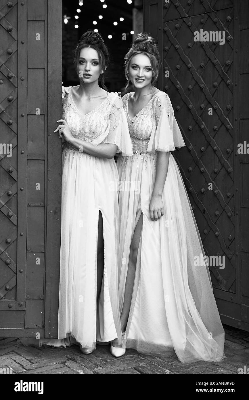 Beautiful retro styled bridesmaids ladies in gorgeous elegant stylish light  grey silver floor length dresses in old beautiful European city welcome  Stock Photo - Alamy