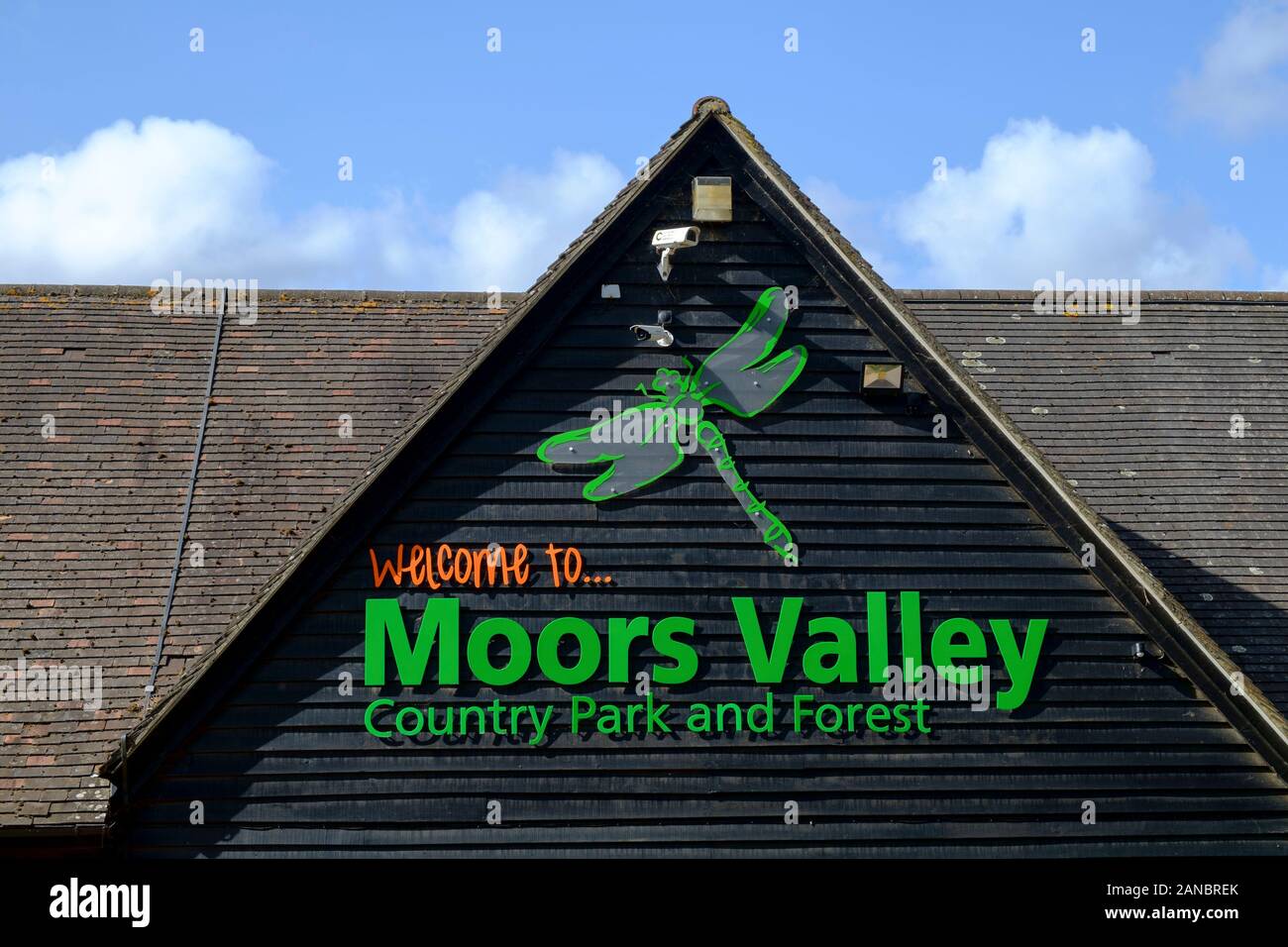 Moors Valley, Country Park, Dorset Stock Photo Alamy