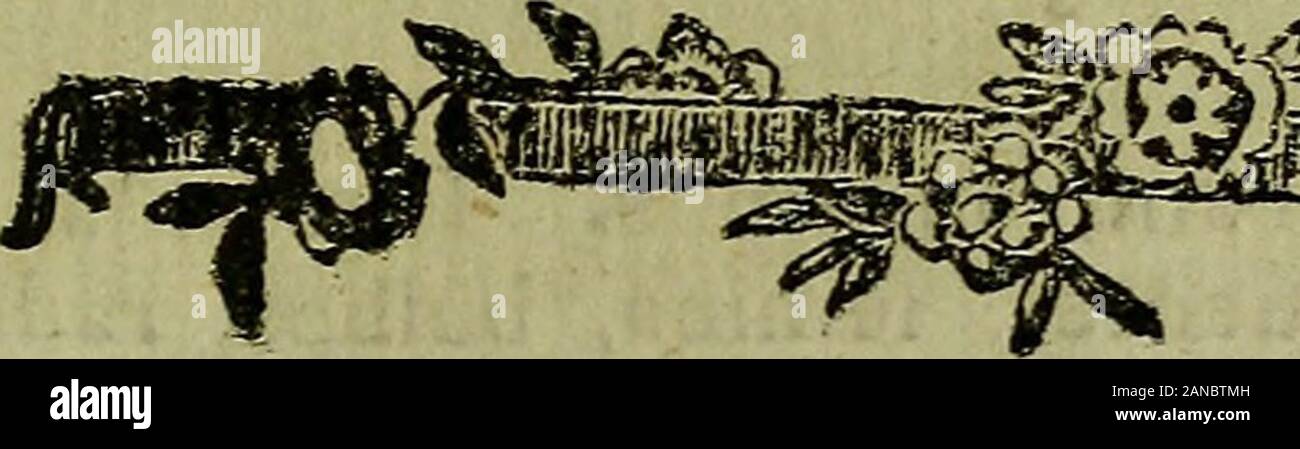 [Dissertationes Academiae Upsaliensis] . nd. Harlem. Amstelod. Bonnens, OegoN. ET InST. LiTT. ZeLAND. NiDBOSIENS. TtTRICENS. IeN2NS. LlNN.LoNDlN. MEDICO-BOTAN. ET HORTI-CULTUR. ReG. SciENT.. PhVS. ETPHVTOGRAPH. GoTTlNGENS. SciENT. GoTHOB. MONACH. ErLANG» Wetter. Nanciens. Marpurg. Med. Paris. Emul et Linn.MoNSPEL. Med. Matritens. Med. et Nat. STumos. Edimburg et Petrop.Medico Chir. et pharmac. Memero nec non Acad. SeiENT. Paris. etInstitut. Nation Monspeliens. Agricult. Aaris. Medic. Londin, Scan- DINAV. FlORENTIN. ET BaTAVIN. InD. Or. CORaESPOND. p. p.ANDREAS ERICUS SETTERBLAD VESTROGOTHUS, I Stock Photo
