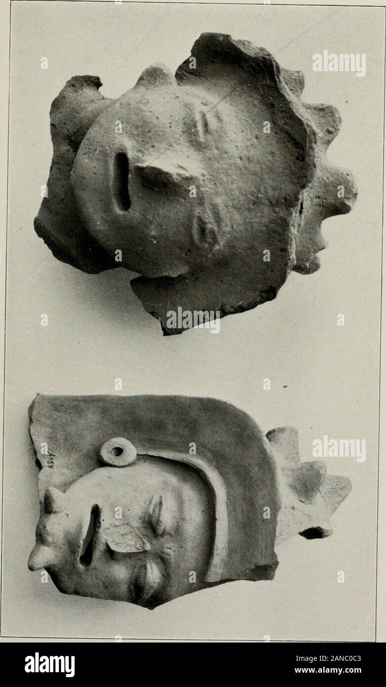 Archæological investigations on the island of La Plata, Ecuador . Head of Image,. FIELD COLUMBIAN MUSEUM. ANTHROPOLOGY, PL. LXXVI. Stock Photo
