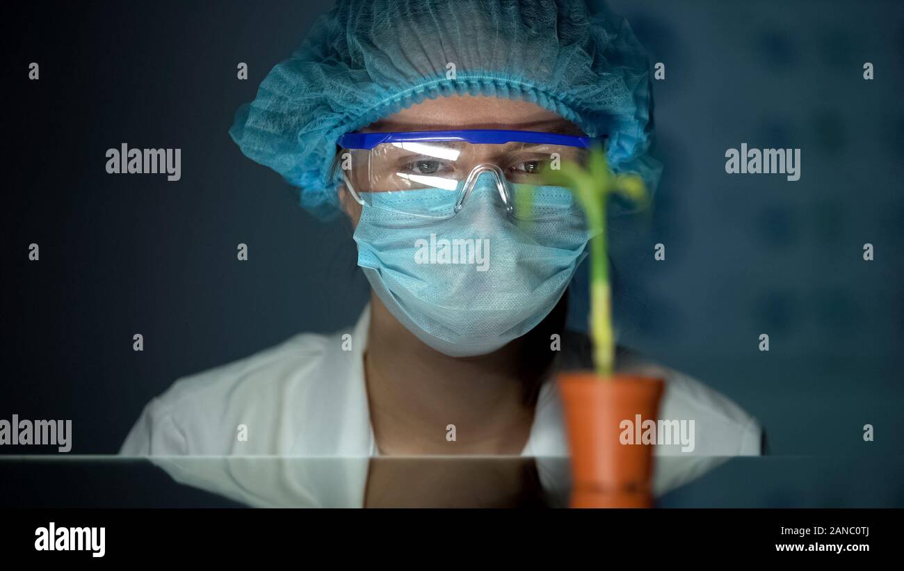 Biologist observing plant growth in lab conditions, environment influence Stock Photo