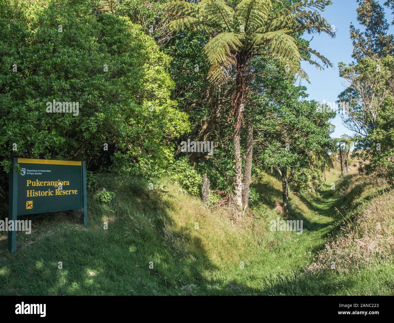 Historic Maori battle site, overgrown remains of entrenchment ditch and bank defensive earthworks fortification, Pukerangiora, Taranaki, New Zealand Stock Photo