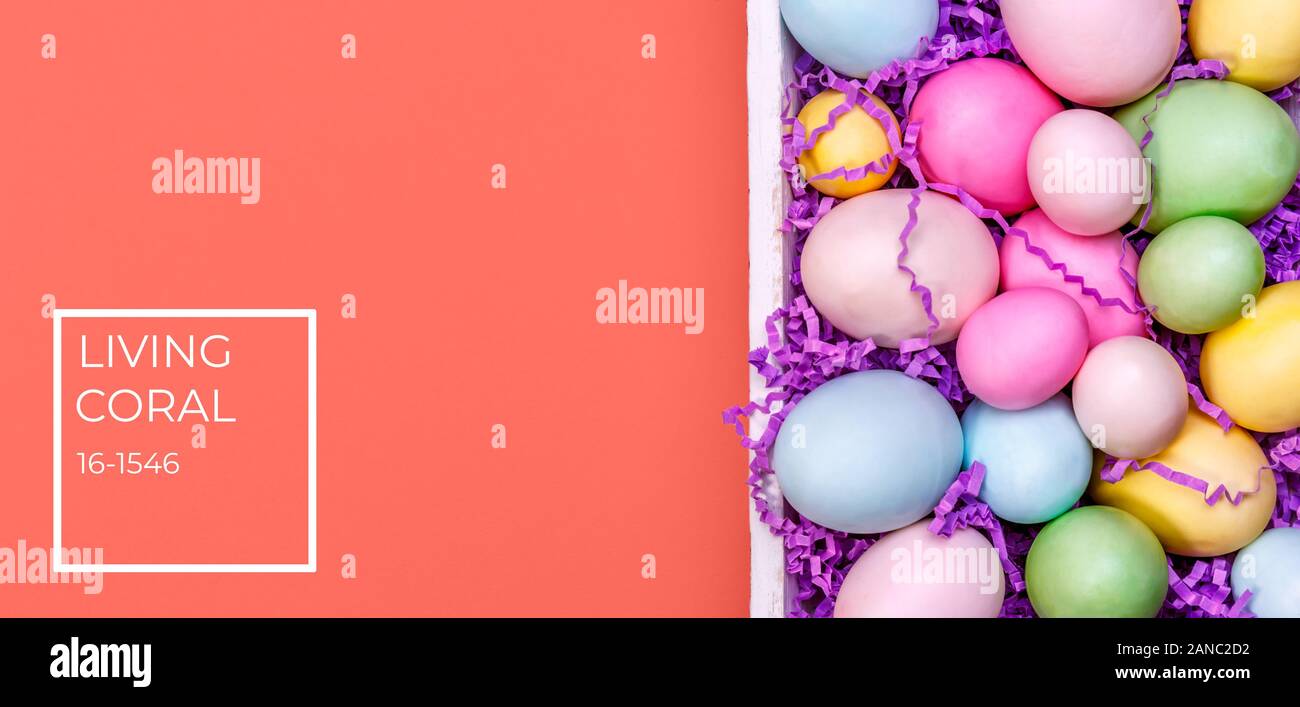 Multicolor Eggs In A White Tray Creative Easter Concept Modern