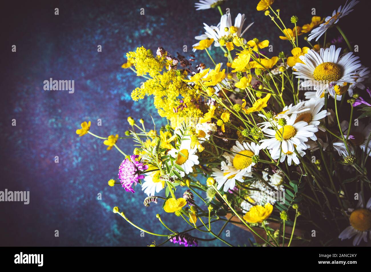 Wild Flowers Bouquet on Rustic Dark Background Stock Photo