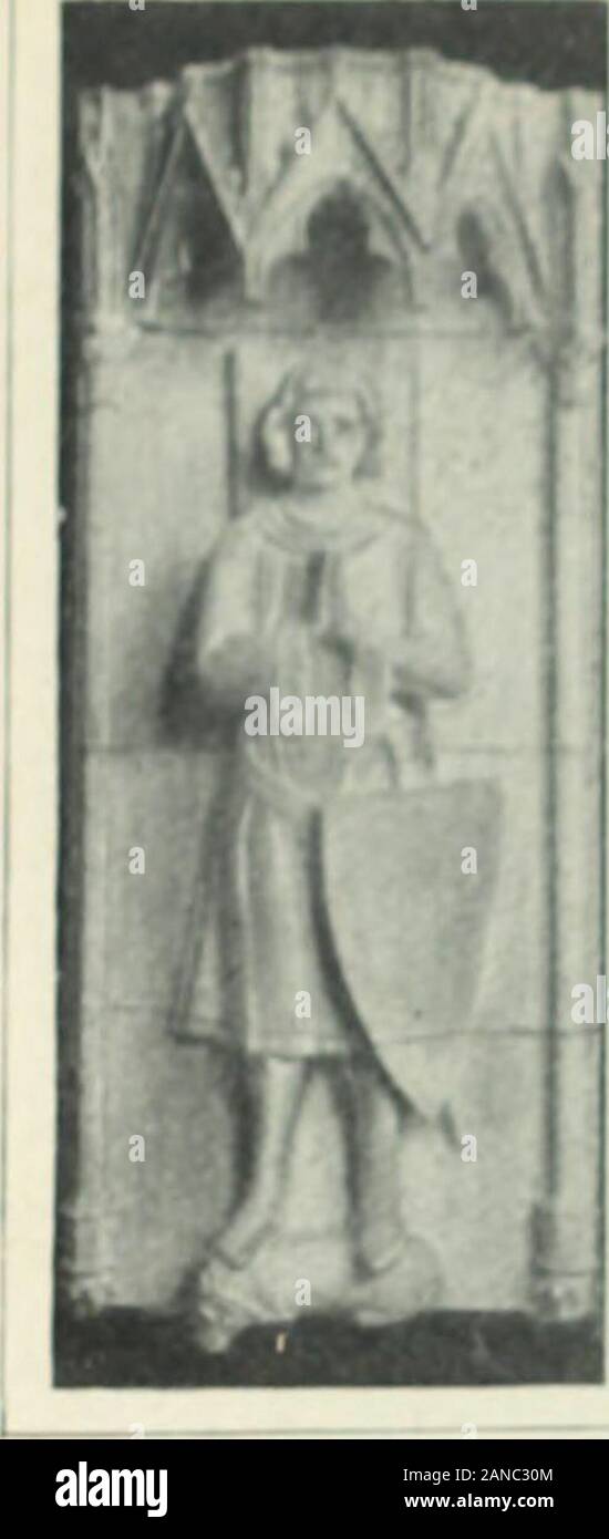 nıke court borough mıd