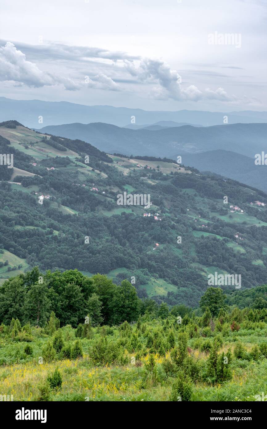 Mountain Landscape and Green Meadow with Blue Cloudy Sky. National Park Tara. Stock Photo