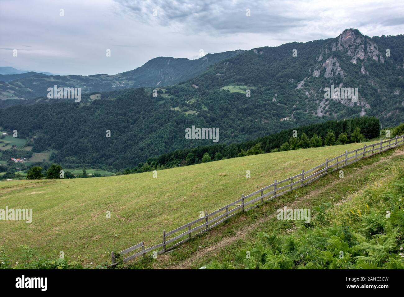 Mountain Landscape and Green Meadow with Blue Cloudy Sky. National Park Tara. Stock Photo