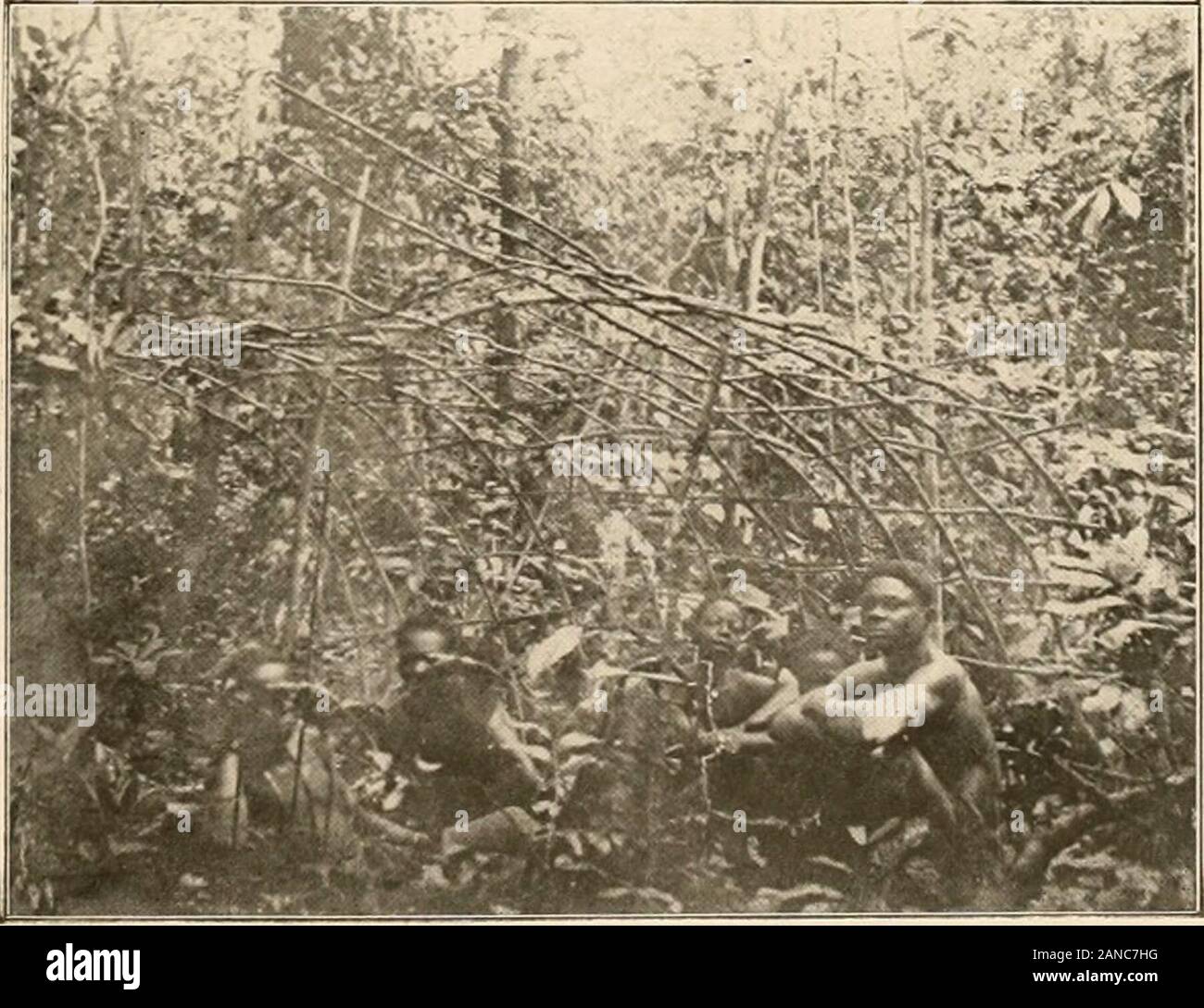 Pomo sur hires stock photography and images Alamy