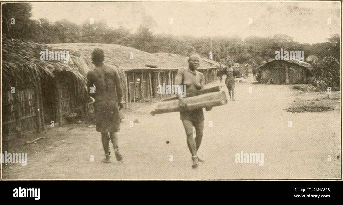 Notes ethnographiques sur quelques tribus de l'Afrique équatoriale française . I ig 0. - Tiiil-&lt; luino de Ijdiombo; ml B; lholo I. Urne] Planche IV.. Fis I. Villasc I. Pliolo i.. Urucl . Stock Photo