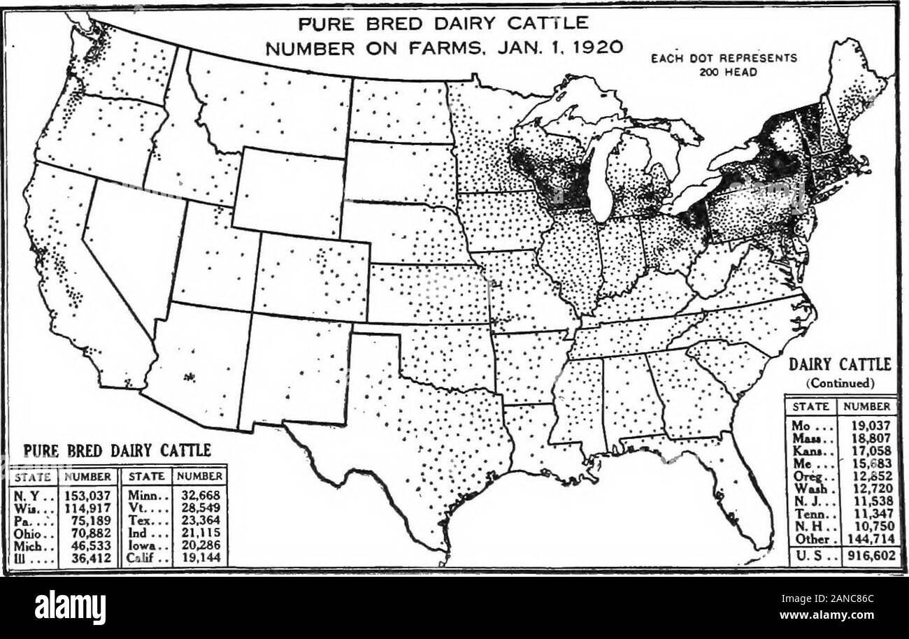A graphic summary of American agriculture, based largely on the census of 1920 ... . Fig. 83.—The number of registered pure-bred beef cattle is more concentrated geo-graphically than that of all beef cattle. Iowa alone has one-seventh of the entire num-ber in the United States. Five per cent of the beef cattle in Iowa are registered. Theprairie and plains portion of the United States (see tall grass and short grassof Fig. 7) has nearly four-flfths of the pure-bred beef cattle in the country. About two-fifths of the registered beef cattle are Shorthorns—nearly one-half if Polled Durhambe includ Stock Photo