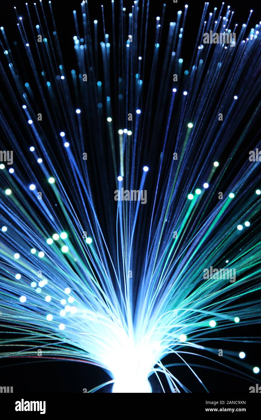 Thin fibre hi-res stock photography and images - Alamy