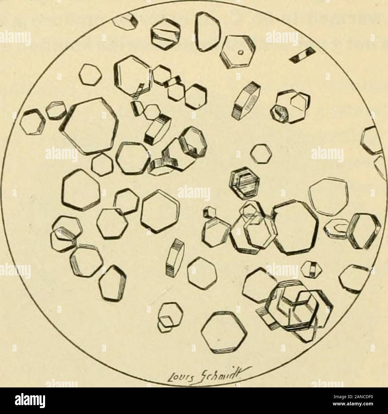 Booksubjectbiochem High Resolution Stock Photography And Images Alamy
