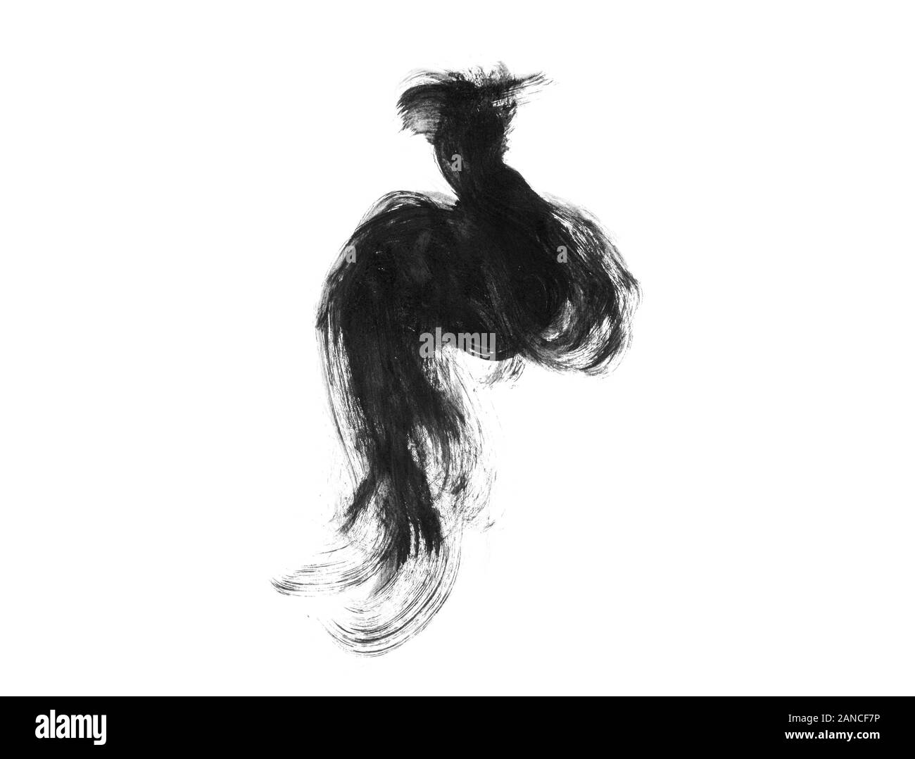 Abstract black ink brush. Black ink illustration. Beautiful black ...