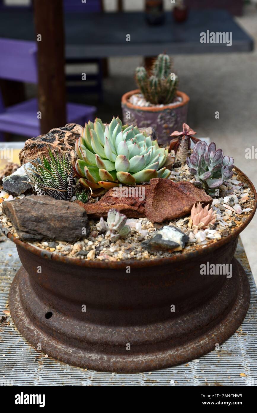 plant pot dolly Plant Caddy with Wheels, Heavy Duty Plant Dolly Cart with Adjustable G –  HVDI.com