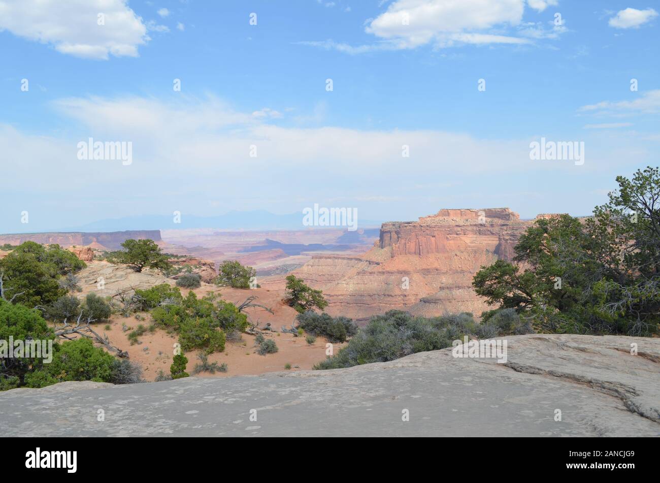 Early Summer in Utah: Shafer Canyon Overlook near the Colorado River in the Island in the Sky District of Canyonlands National Park Stock Photo