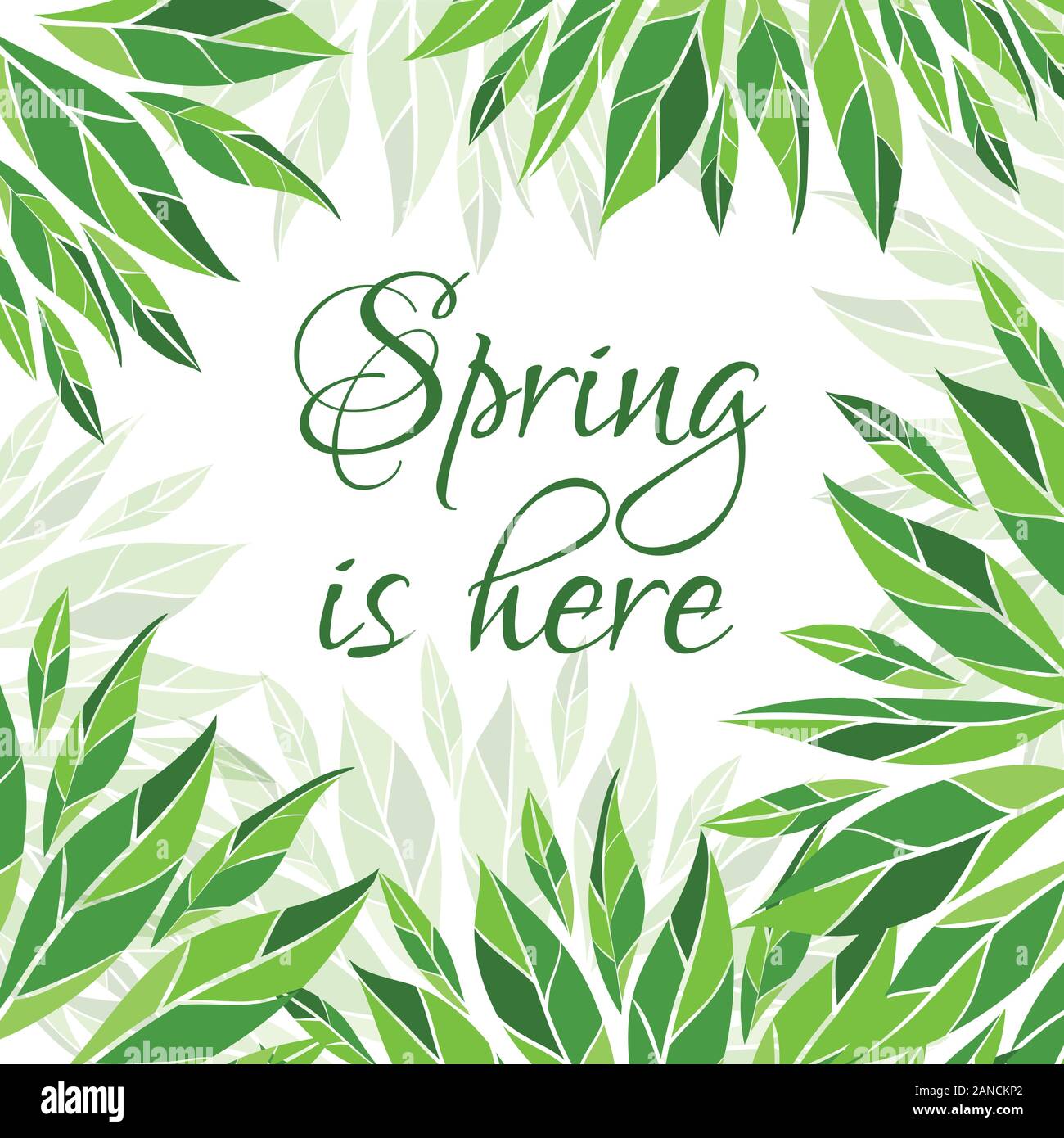 Spring is here card Stock Vector Image & Art Alamy