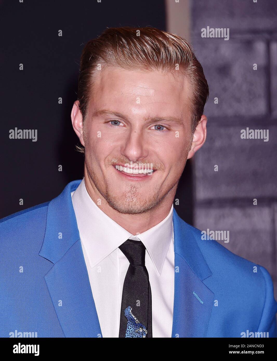 Bad Boys for Life star Alexander Ludwig on his recovery journey