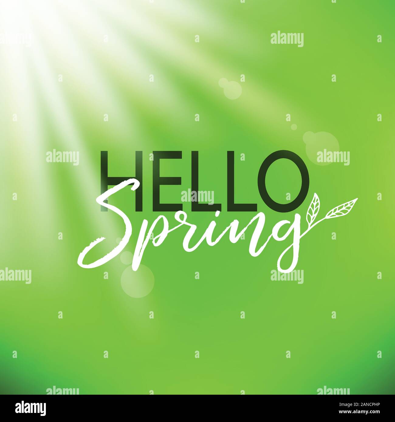 Hello spring vector card. Lettering Stock Vector