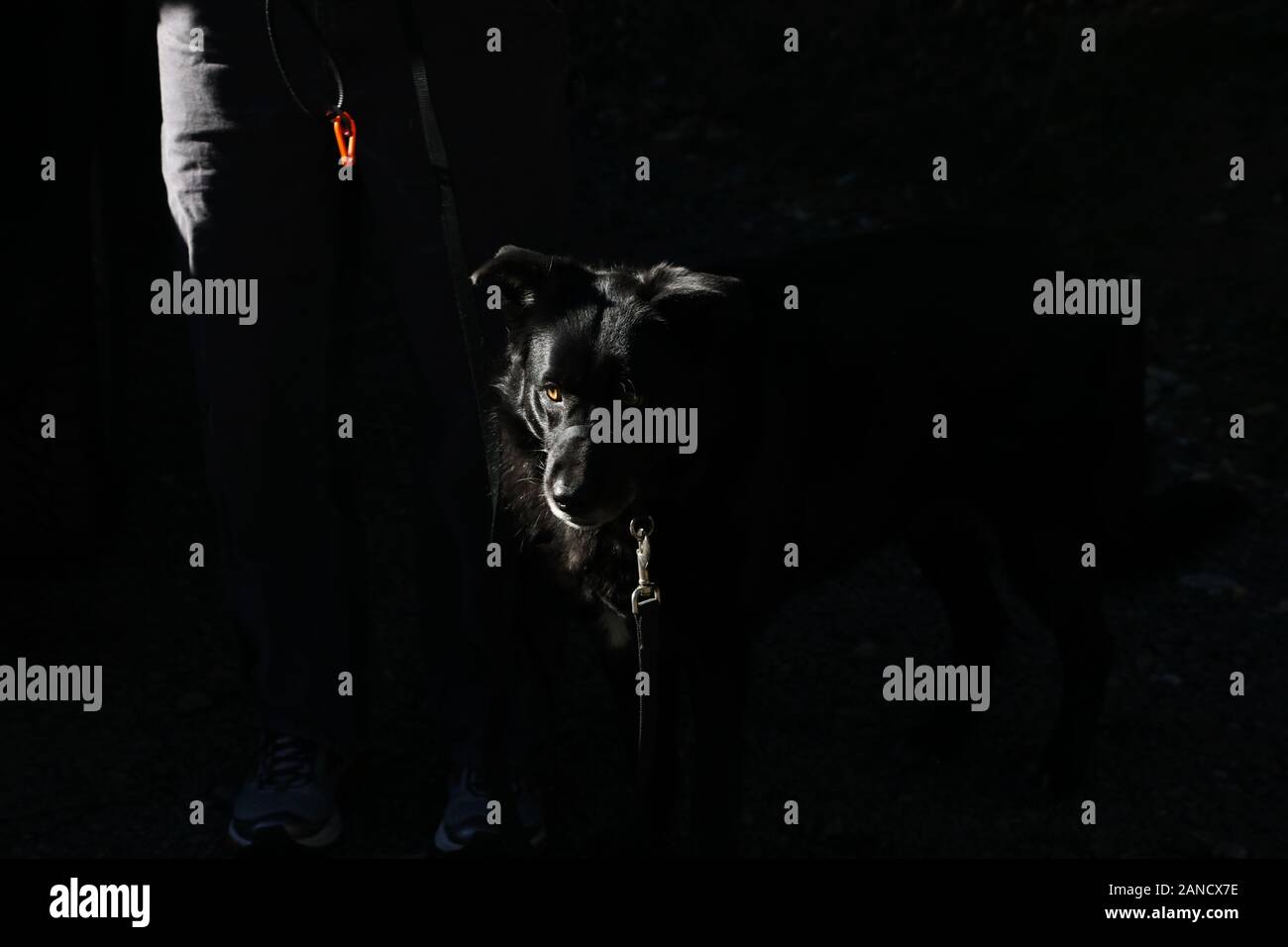 Black streak hi-res stock photography and images - Alamy