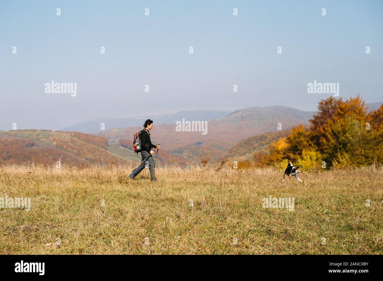 Man with dog hiking in autumn mountains Stock Photo