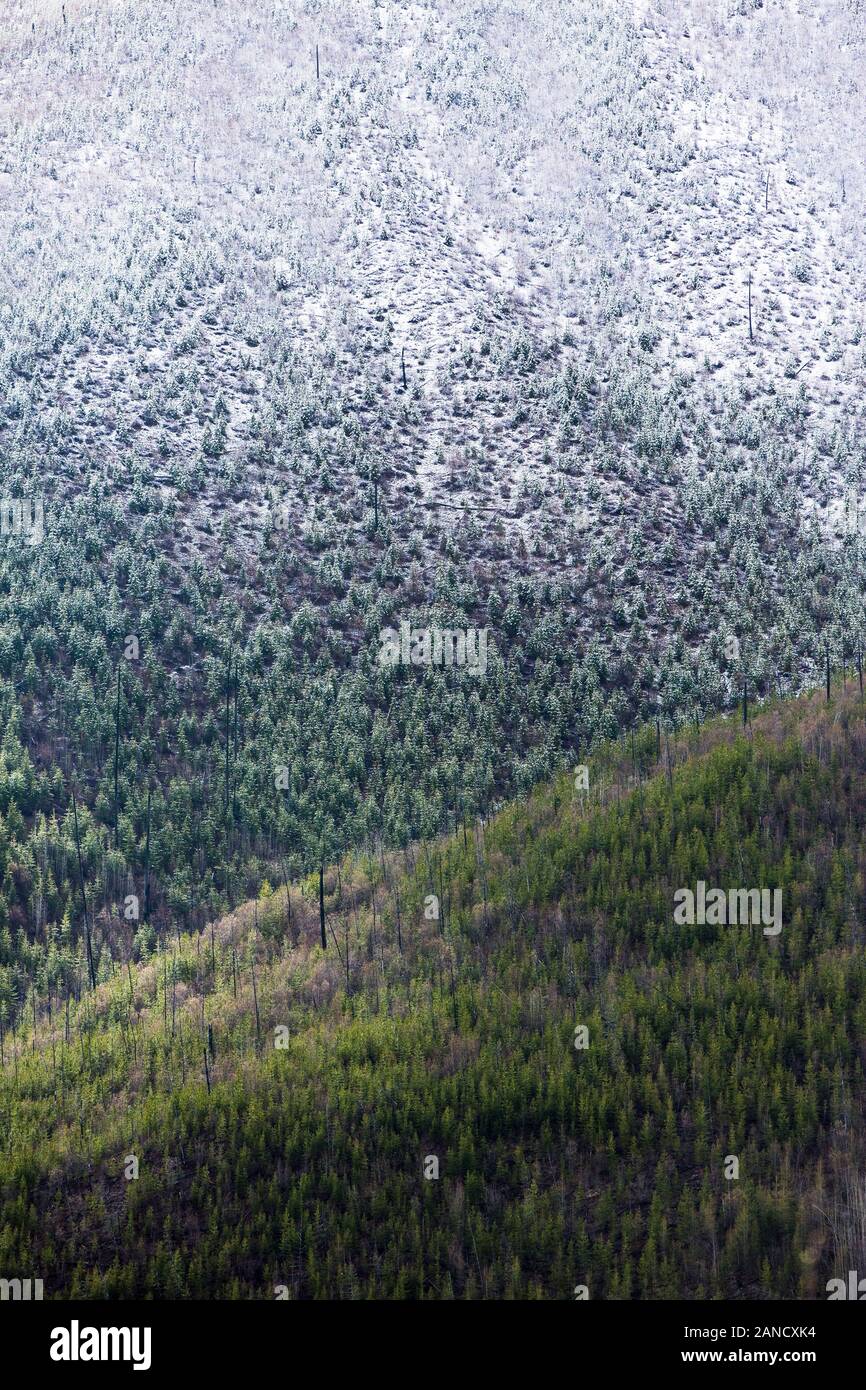 Changing seasons, winter transitons to spring in Glacier National Park Stock Photo