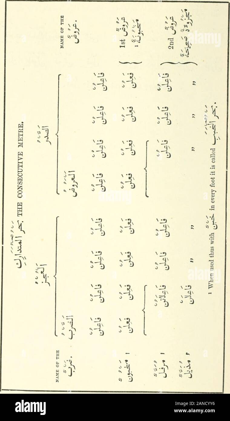 A Grammar Of The Arabic Language H S 4 J V S C Gt 111 Y Oil Gt O 08 Aeaetc Grammar 5 C When The Cl