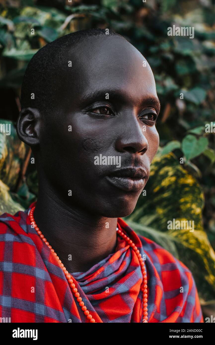 Maasai Man in traditional clothes standing in front of green leaves Stock Photo