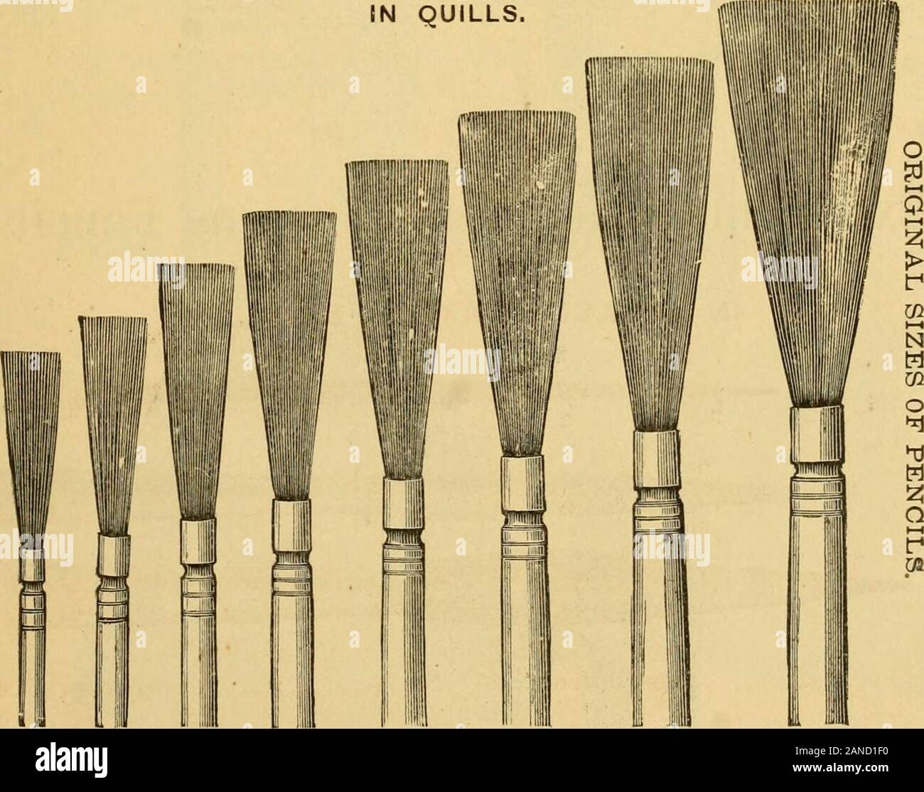 Camel Hair Paint Brushes High Resolution Stock Photography And