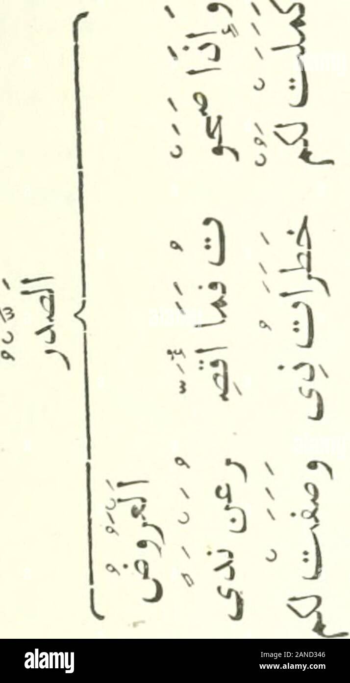 A Grammar Of The Arabic Language V I 1 Nl H Examples Of Ul I 331 O 1 L Lt L O 05 J 3 Gt 73i L T Gt Co 3