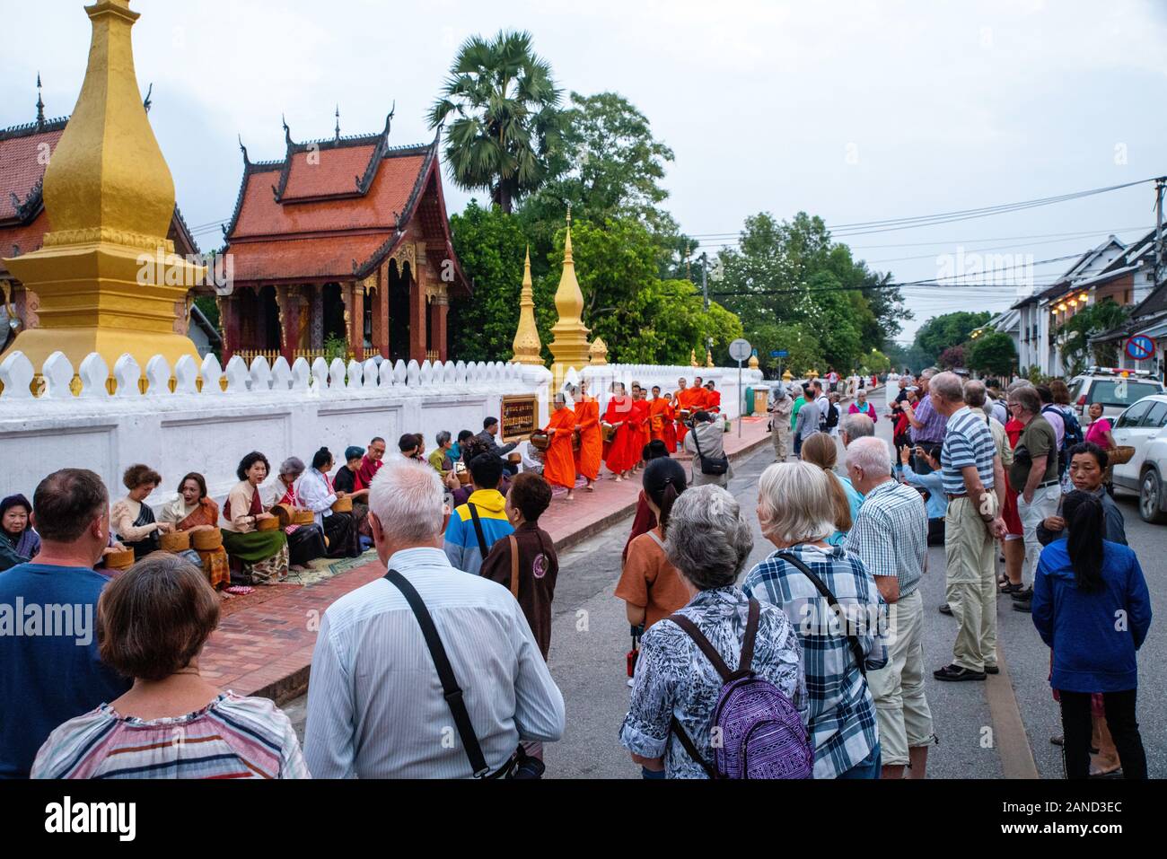 Monks and tourists participate in sai bat (morning alms giving), Wat Sesnsoukharam, Sakkaline Road, Luang Prabang, Laos. Stock Photo