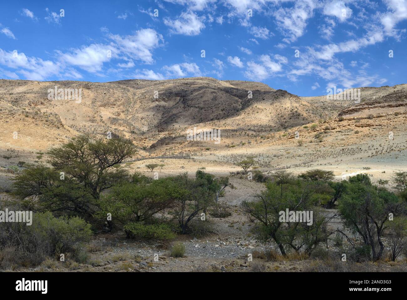 Naukluft Mountain Zebra Park,dry,arid,scrub,scrubland,desert,Namibia,RM Africa Stock Photo