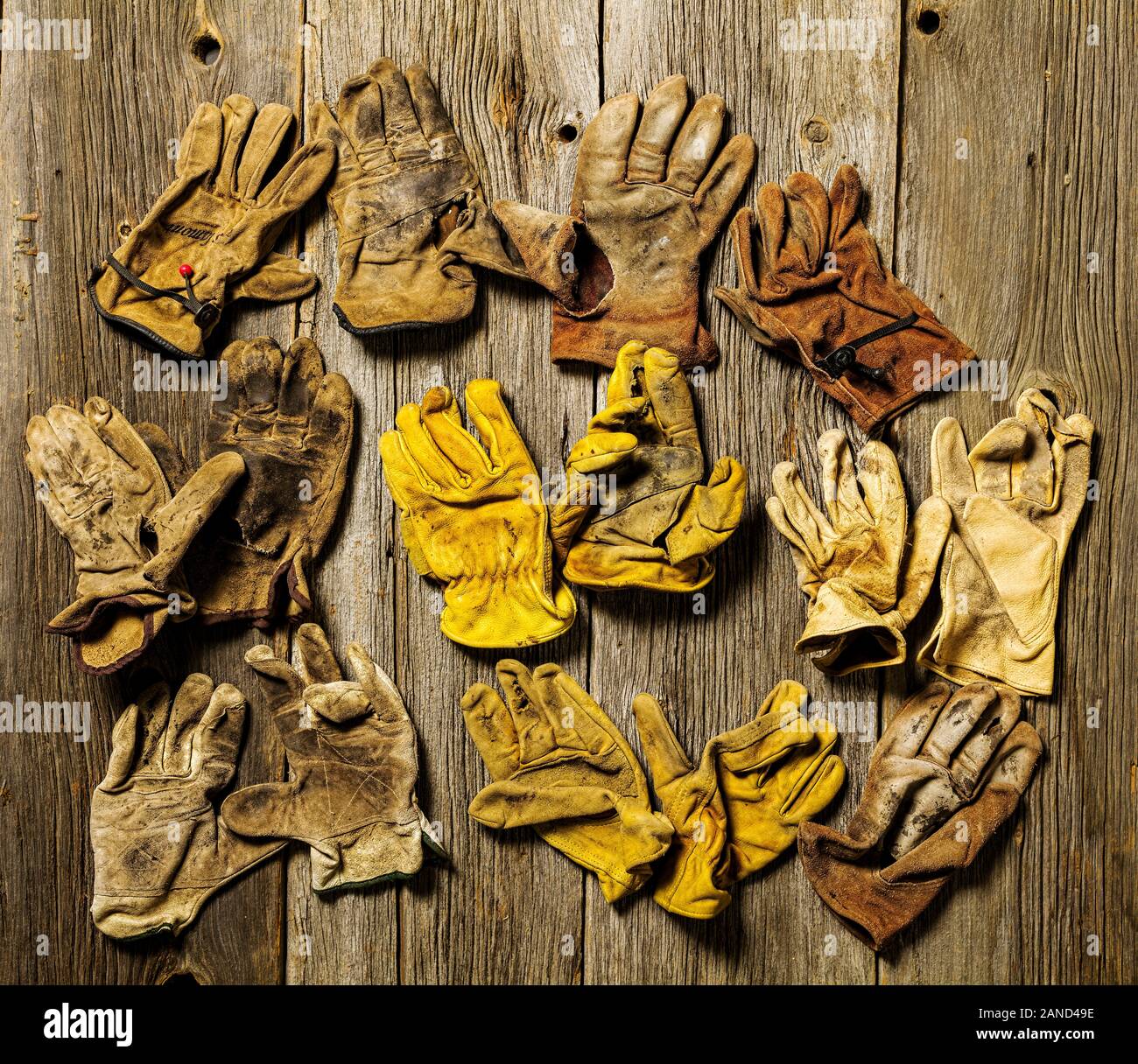 Studio still life close-up of worn leather work gloves Stock Photo