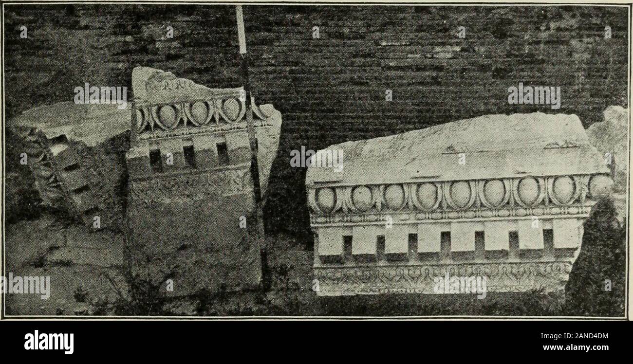 Codex neapolitanus hi-res stock photography and images - Alamy