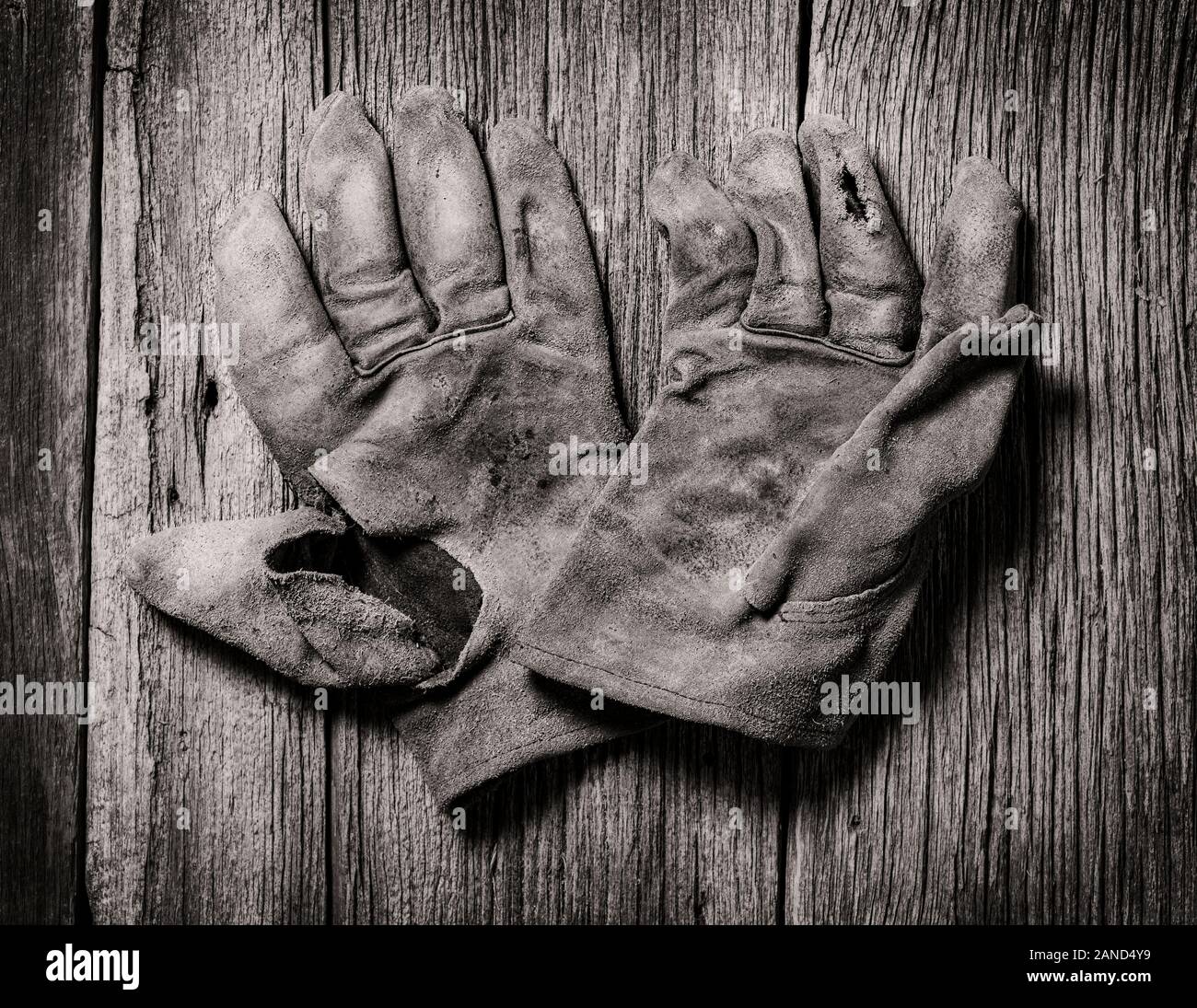 Glove for warmth hi-res stock photography and images - Page 3 - Alamy