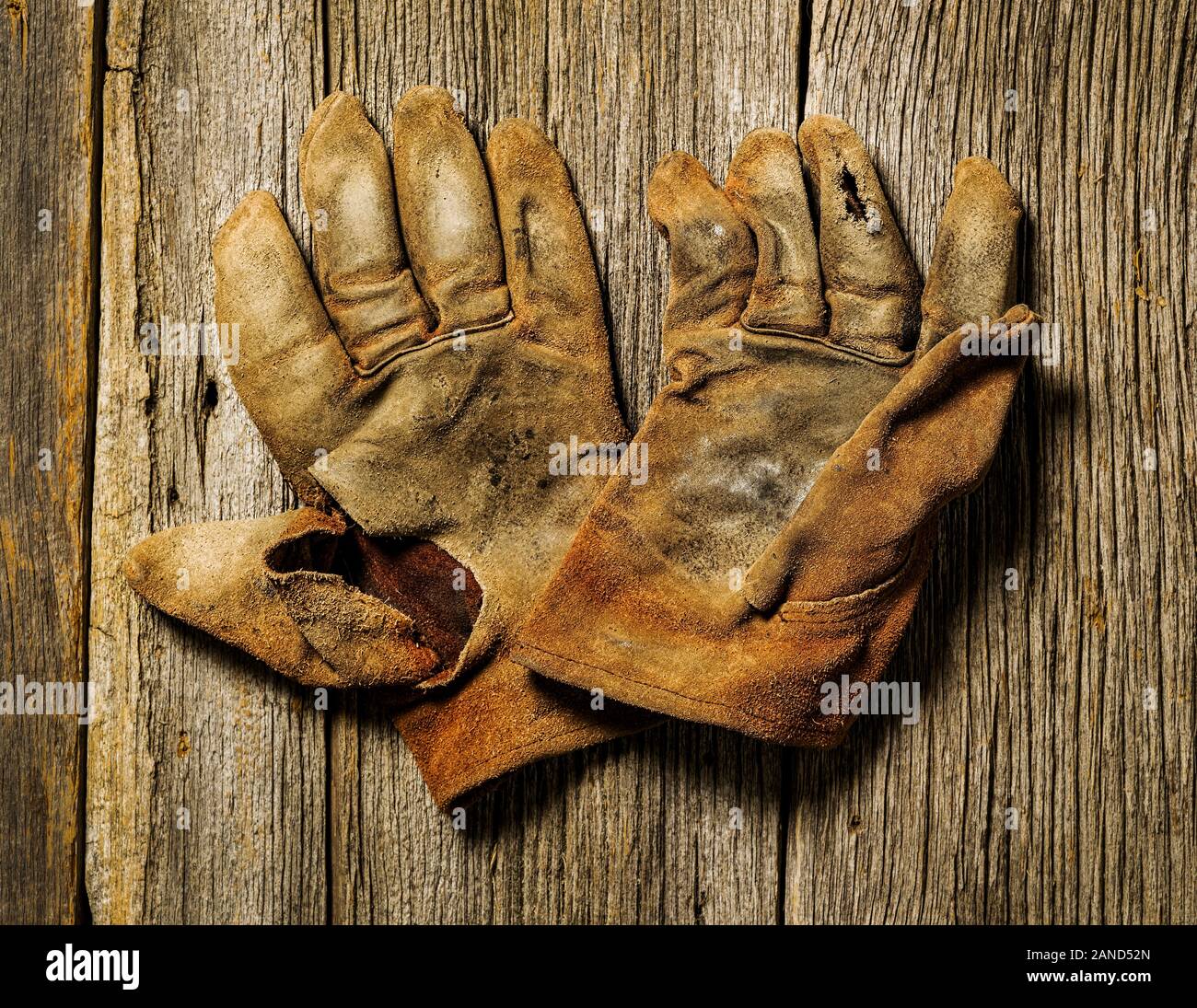 Studio still life close-up of worn leather work gloves Stock Photo