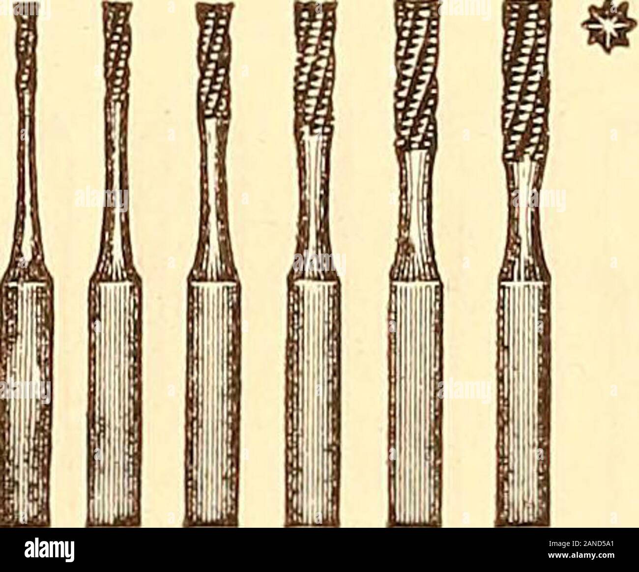 Principles and practice of operative dentistry . Fissure, pointed. Dentate. 369 illustrate these forms. The pointed fissure bur is by far the most service-able instrument for opening very small cavities or fissures. Its shape facili-tates its entrance into the cavity, while it also more readily follows a fissure.Spear-pointed drills are not so serviceable for this purpose, on accountof the fact that they are frequently broken by being caught in the irregu-larities of the cavities or in the fissures. 16 242 OPERATIVE DENTISTRY In the larger cavities enamel-chisels are much more useful for openi Stock Photo