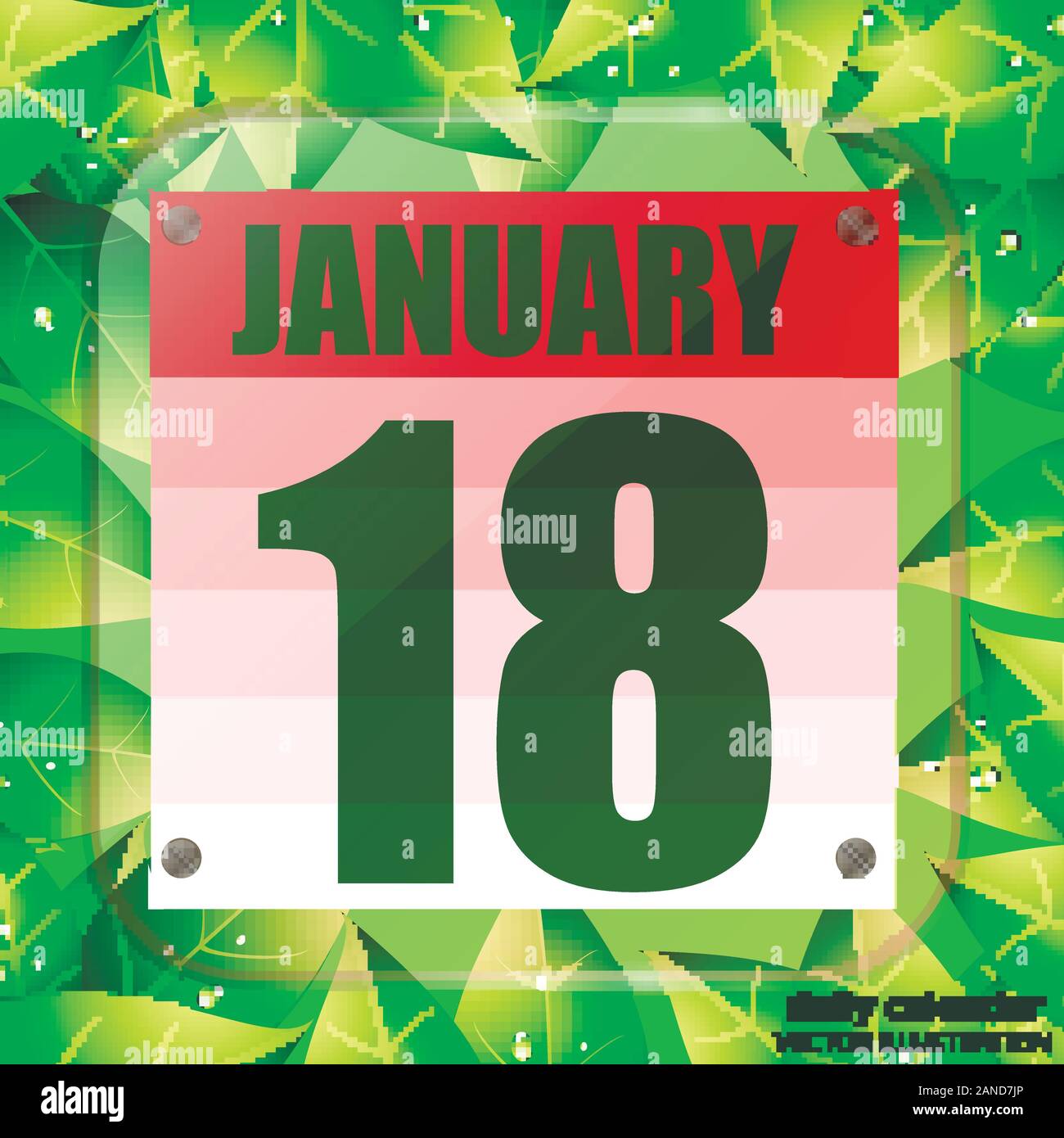 My Image 15
