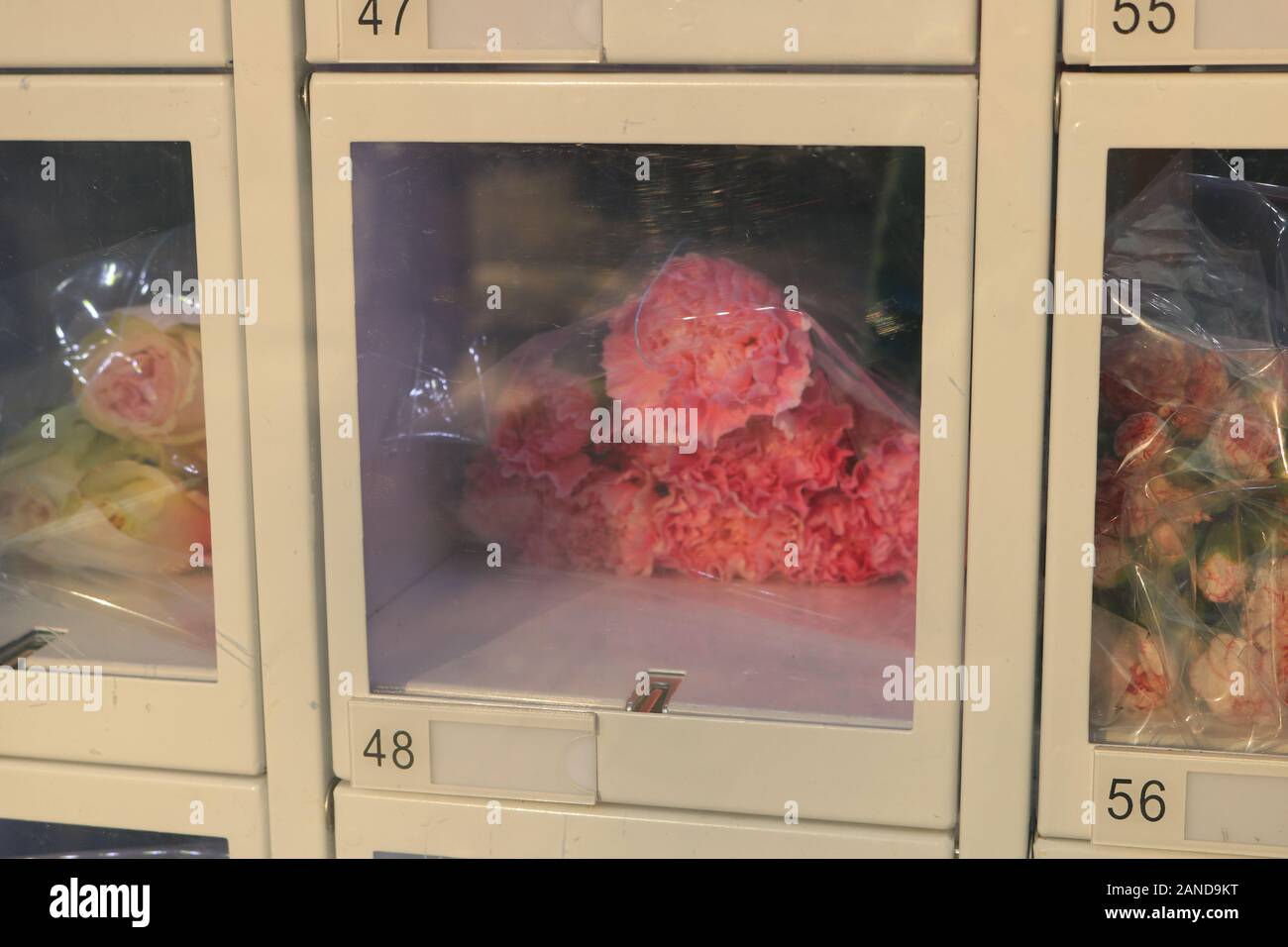 View of the flowers in the vendor machine that has a cooling system at the Taoranting Park in Beijing, China, 28 December 2019. Stock Photo