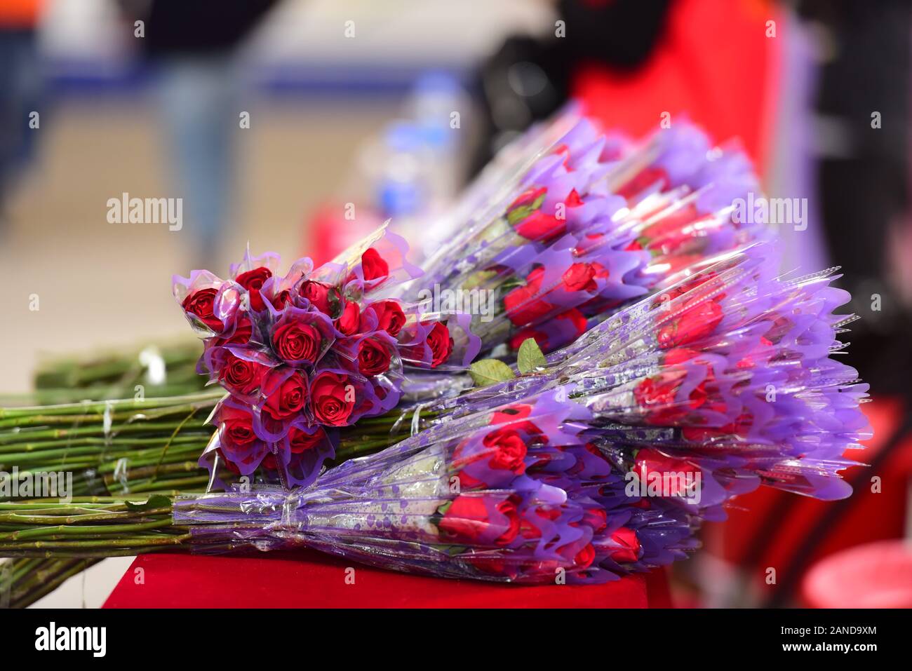 10000 roses hi-res stock photography and images - Alamy