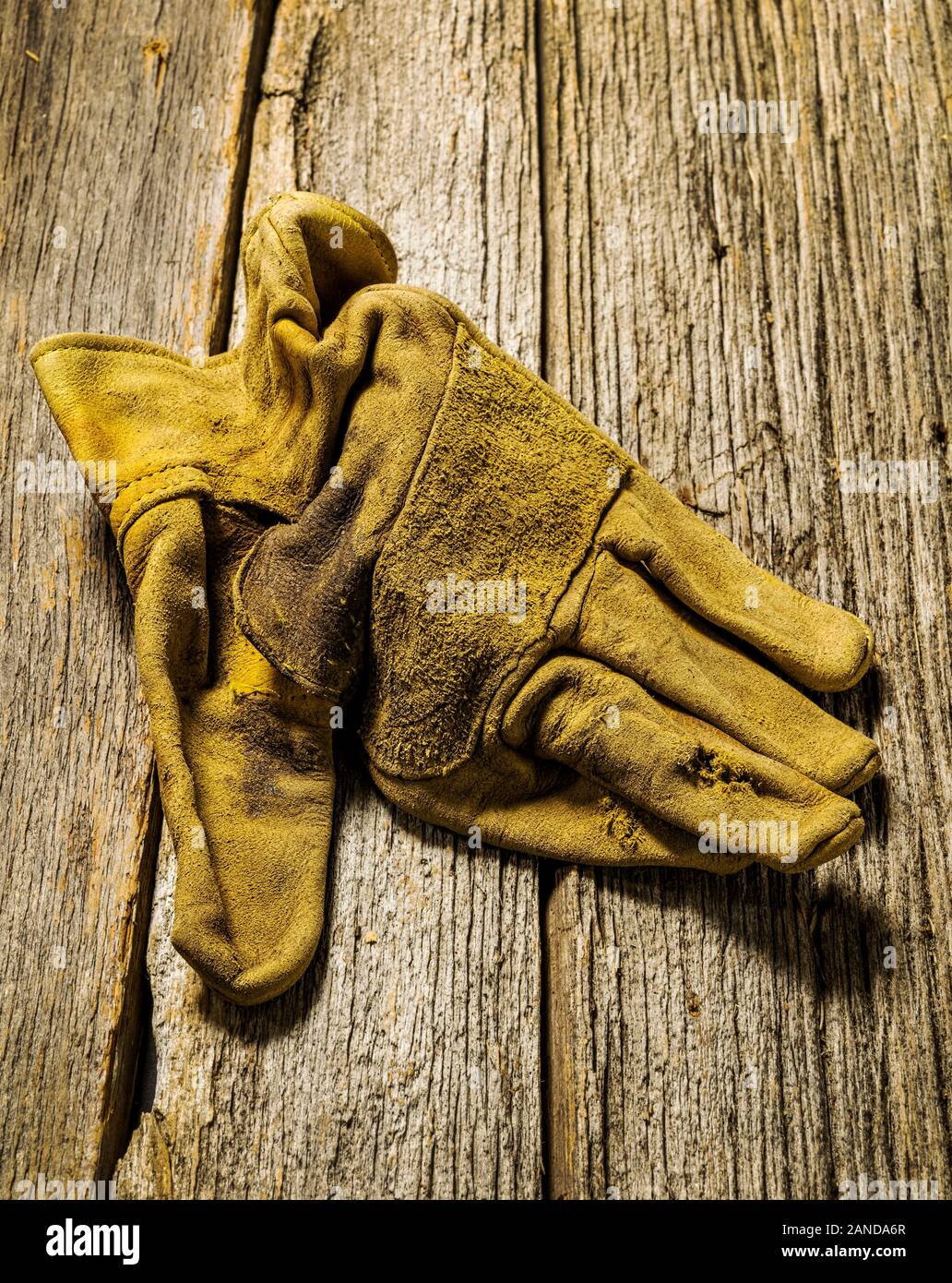 Studio still life close-up of worn leather work gloves Stock Photo