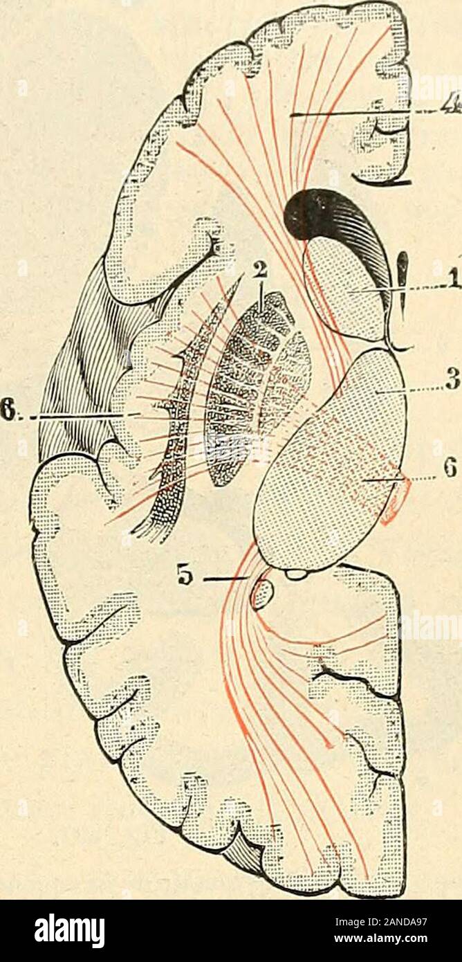 Pointe de la traverse hi-res stock photography and images - Alamy