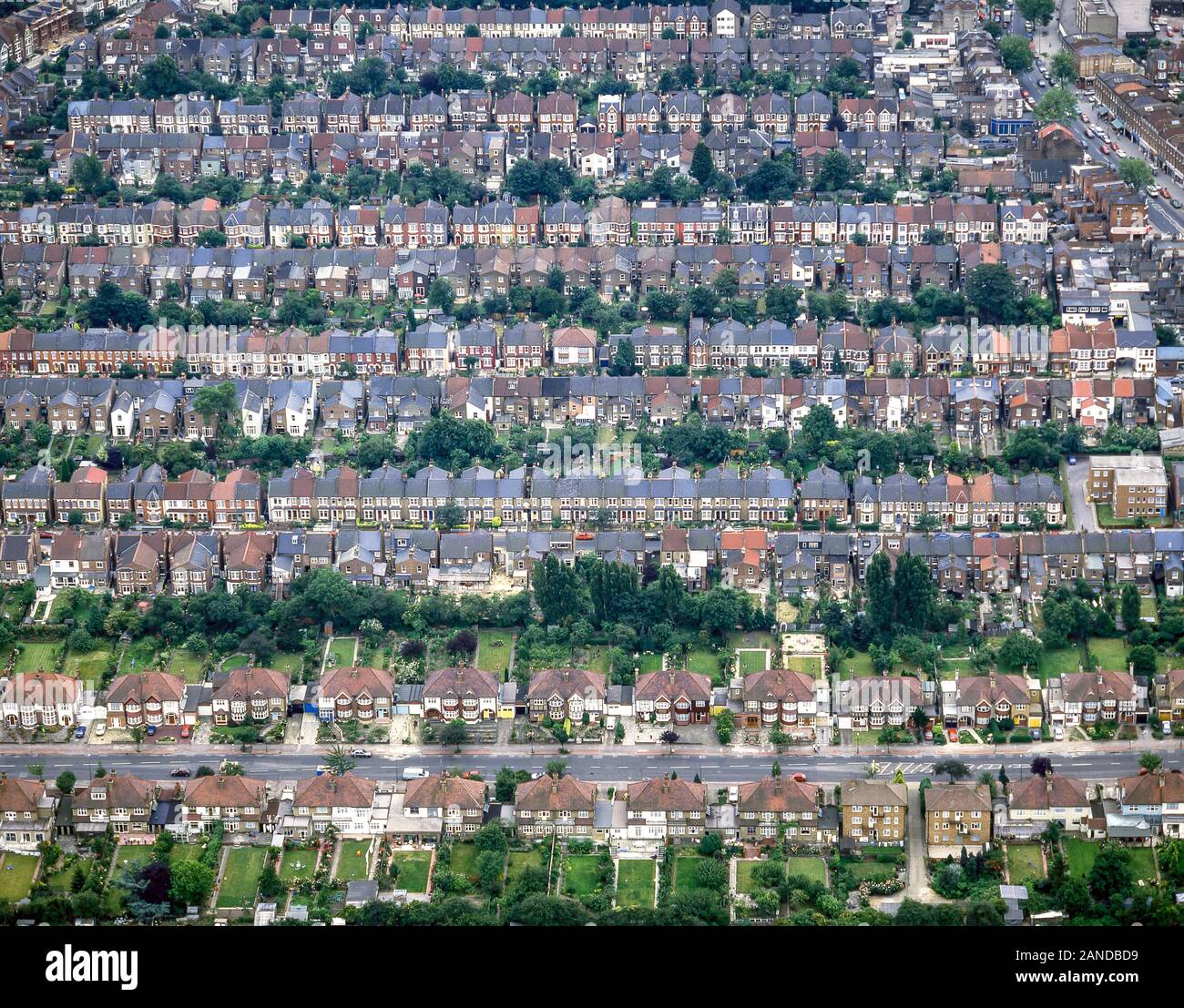 Aerial view of houses and gardens, Belsize Park, London Borough of