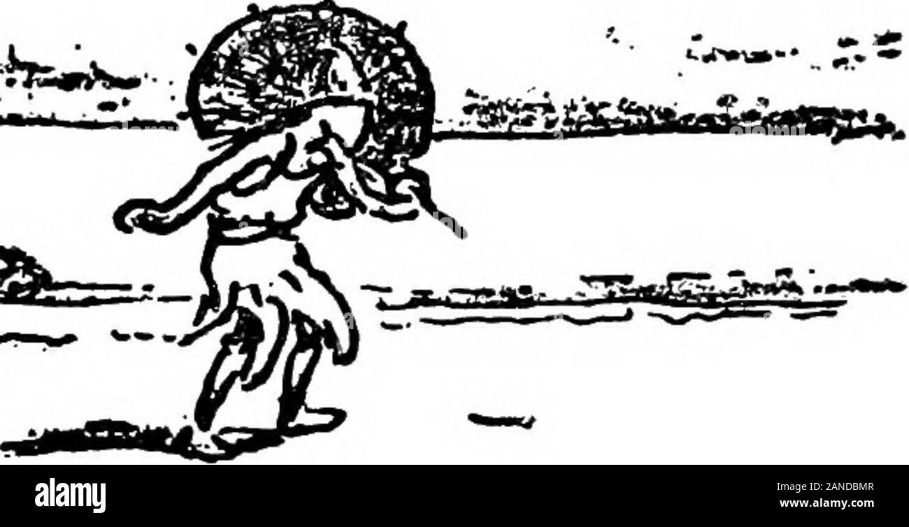 Doubt And Other Things Verse And Illustrations 275 Digitized By Microsoft Defoe Thy Great Book Holds My Boyhoods Hero In Which I Trace A Dear Old Friendthrough A Sailors Bad Beginningto A