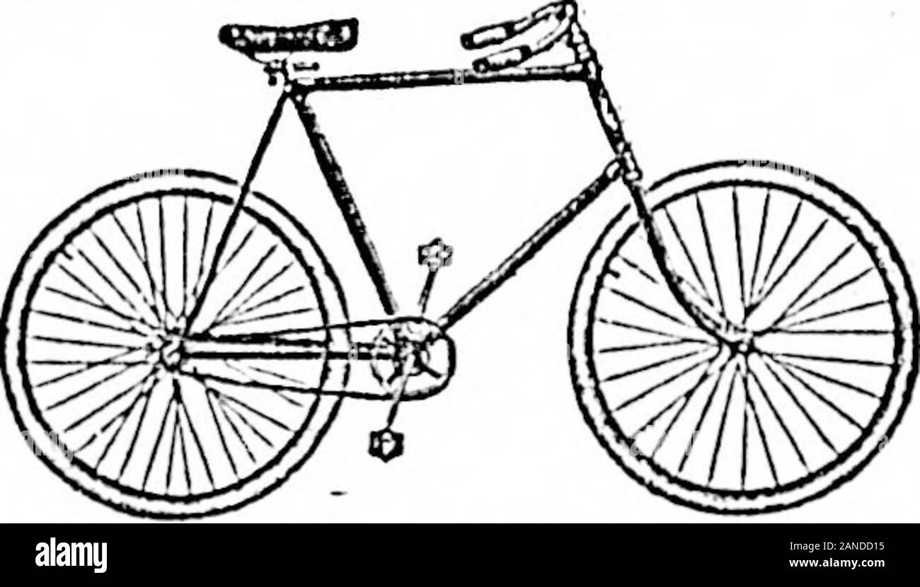 g and o cycles