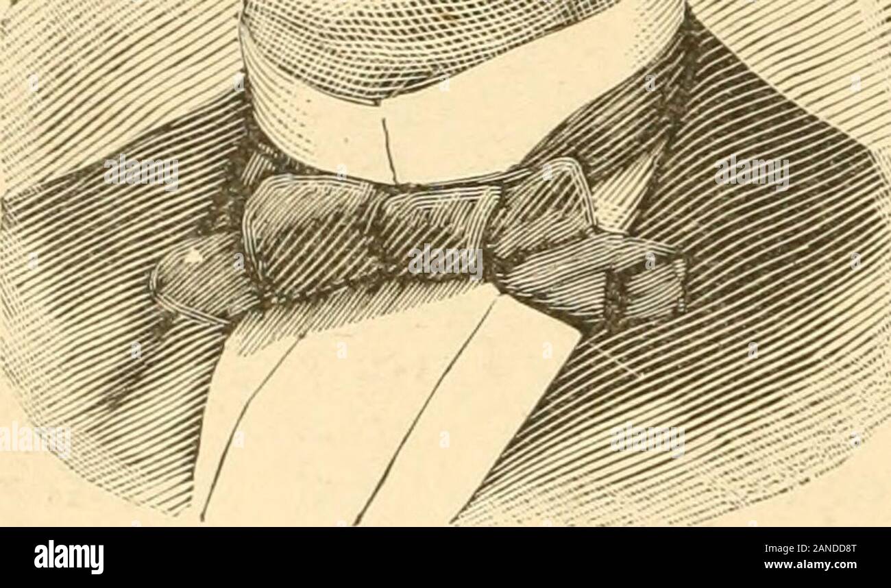 United States; a history: the most complete and most popular history of the United States of America from the aboriginal times to the present day.. . ive office he was one of theablest and most thorough-going who ever occupied the gubernatorialchair of the State. In 1876 he was nominated for the presidency, and atthe election of that year received a large majority of the popular vote,only failing of a majority in the electoral college because of the tacticsof the leaders of the party in power. Neither he nor General Hayeswas clearly elected, the Democrats having carried two or three Stateswith Stock Photo