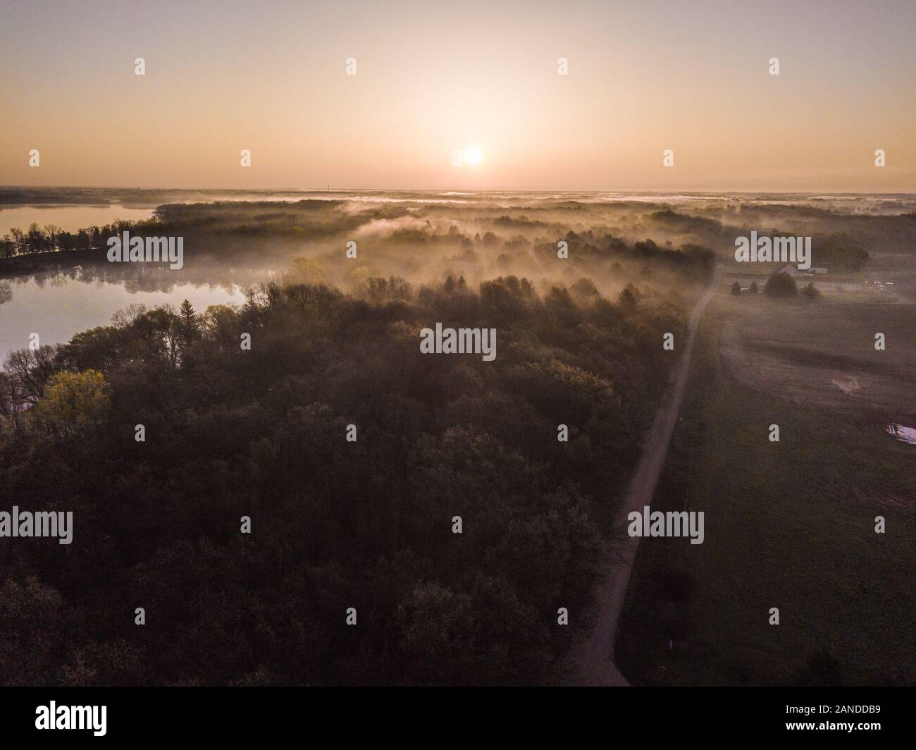 Fog above the forest hi-res stock photography and images - Alamy